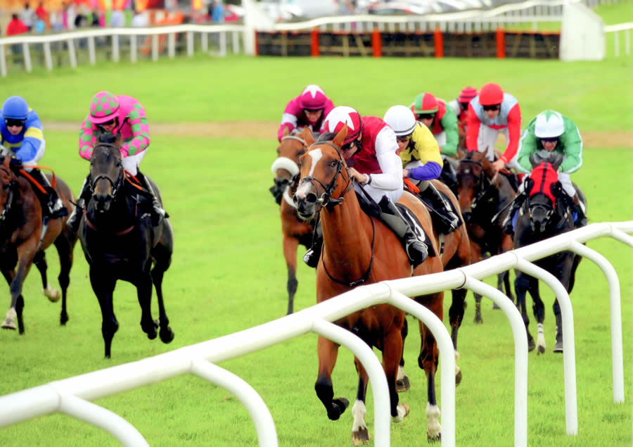 Chocolate Hills Bellewstown 17th August
